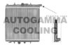 PEUGE 1331SV Radiator, engine cooling